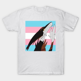 Transgender Pride Sol T-Shirt